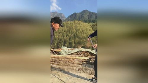 老驥伏櫪,志在千里