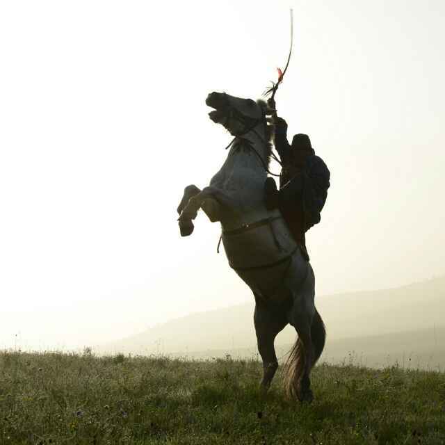 學海無涯，伏櫪前行